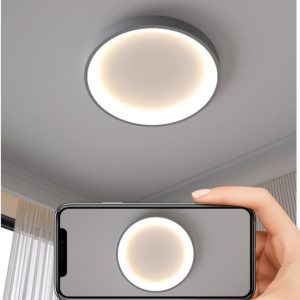 Hoge kwaliteit Plafondlamp LED- LED Light-LED-eetkamerlamp-Rond licht-Modern Ceiling-Dimbaar